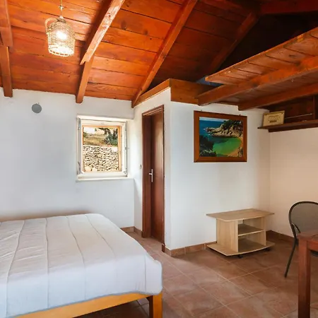 Pet Friendly In Tatil Evi