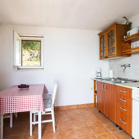 Tatil Evi Pet Friendly In Postira